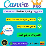 Obtenez Canva Pro Premium à vie !