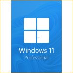 Clé MS Windows 11 Pro - 1 PC